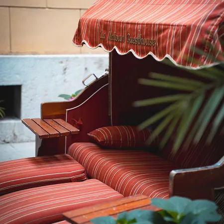 라 마이오운 * 니스